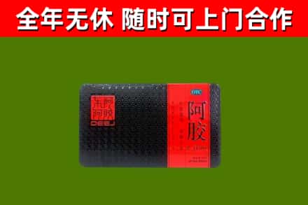 新和县回收阿胶