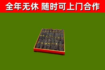 新和县回收海参